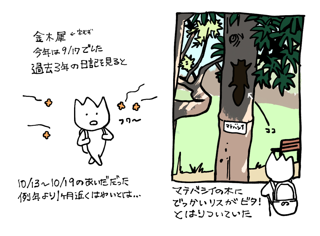 202609171.jpg